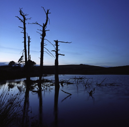 Begwyns Lake