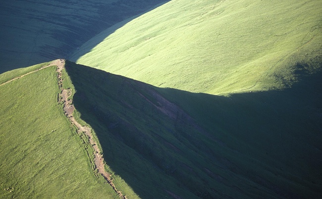 The Cribyn