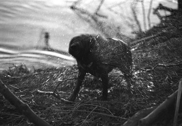 February 2006. Wye Valley Walk