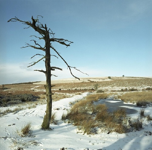 March 2006: Glorious snowy afternoon