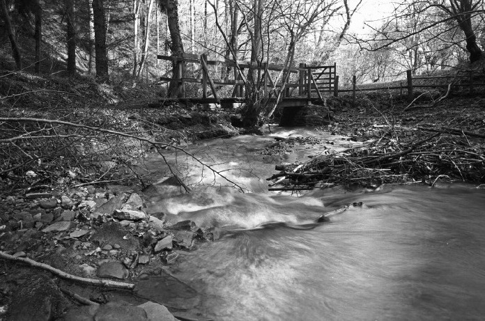 March 2006: Clyro brook.