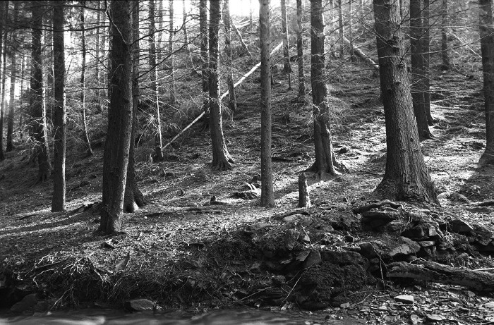 March 2006: On the banks of Clyro brook