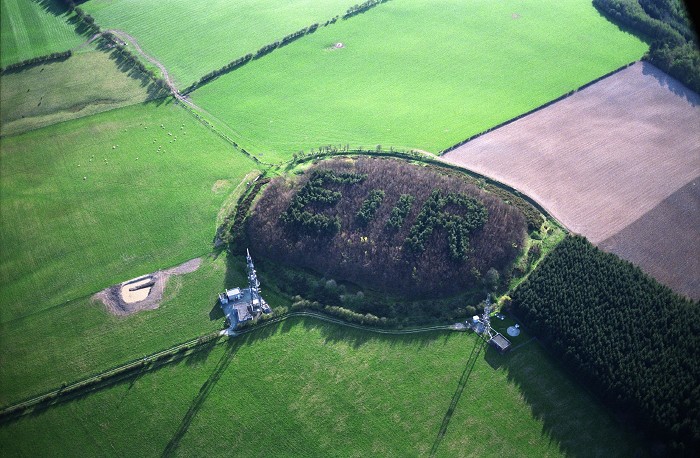 Coronation tree planting near Welshpool