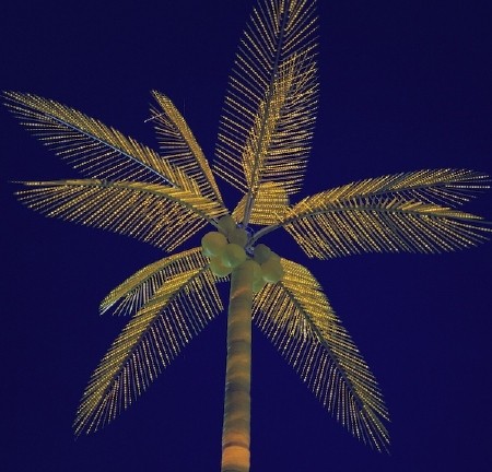 palm lights