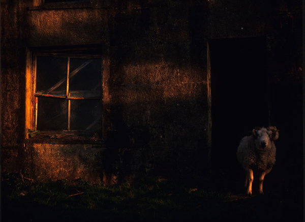 Early Morning Skye with Ram