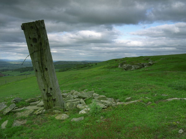  Redundant fencepost on Cusop Hill, Breconshire 