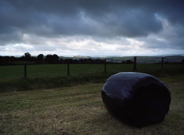 Silage bale