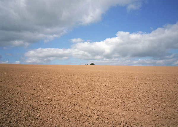 Freshly harrowed field