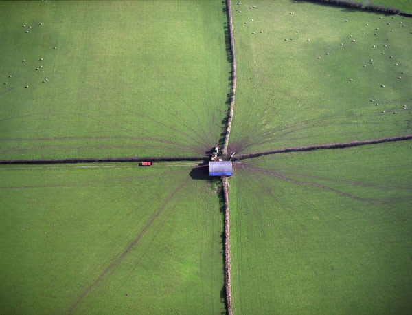 Aerial Cow Trails