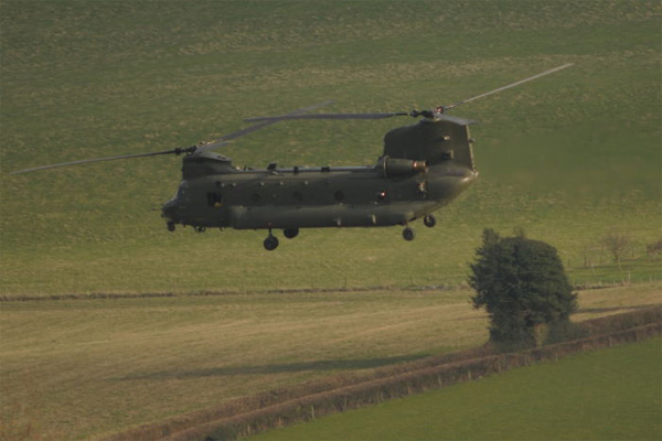 Chinook