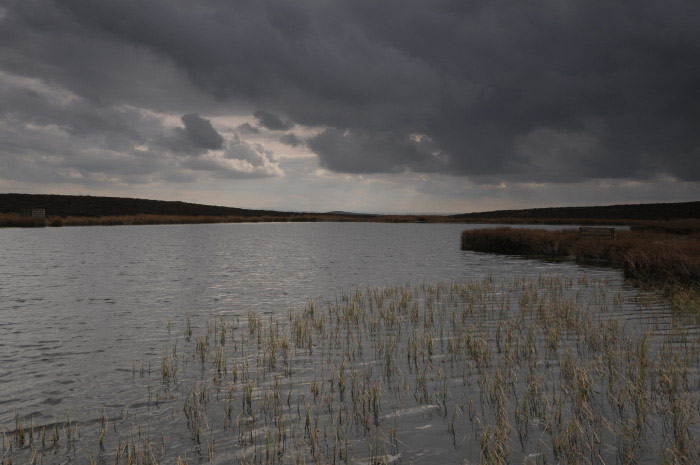 Impending Rain