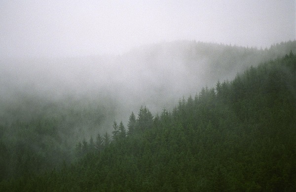 Plymlymons 2005