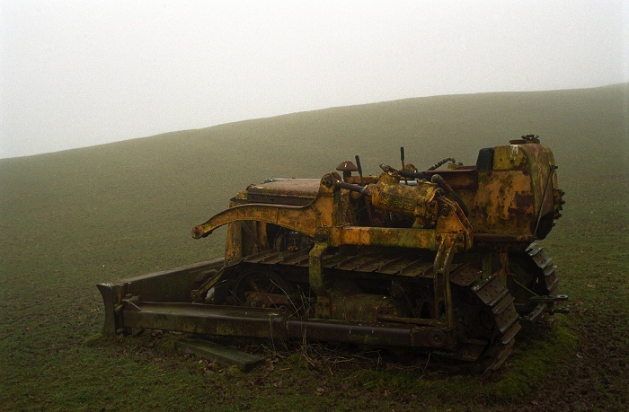 Crawler Found Just South of Kington.