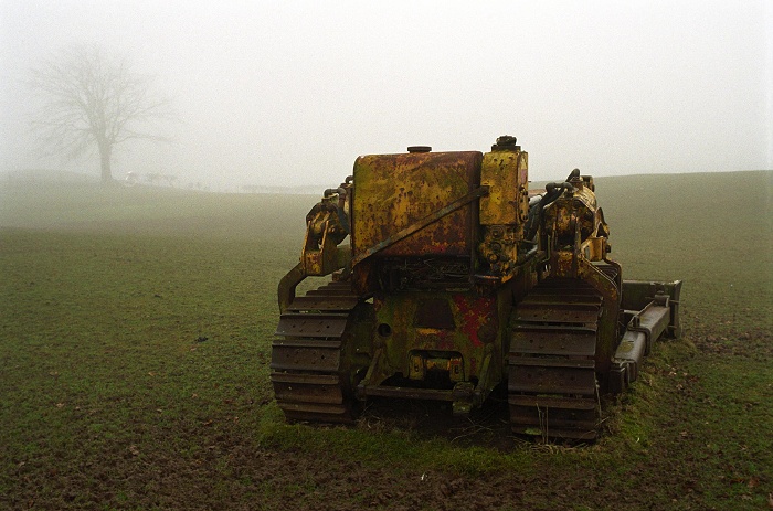 Crawler Found Just South of Kington.