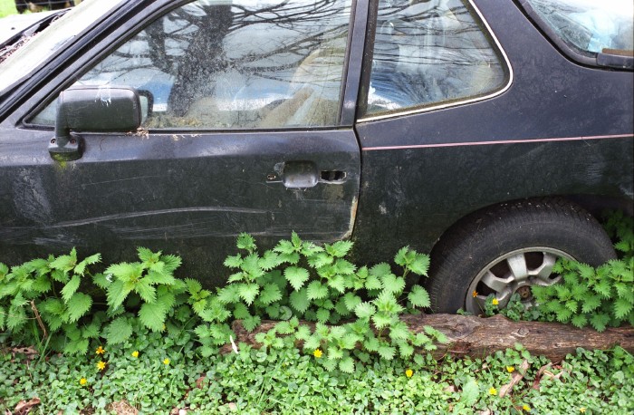 Bones of a dead car