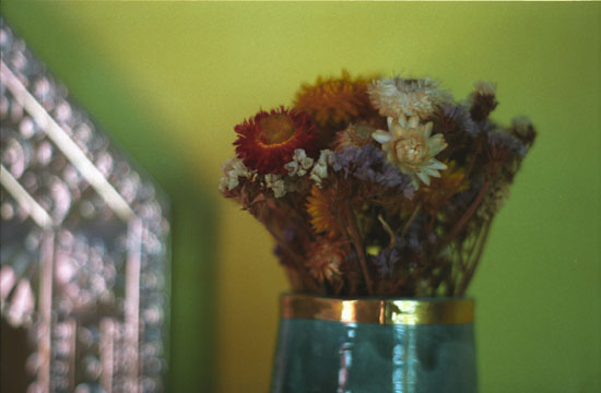 dried flowers