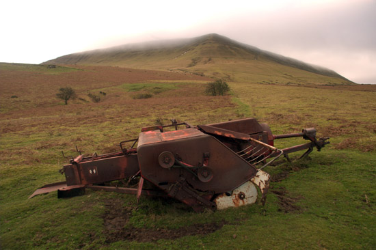 mari roberts rusty ruins