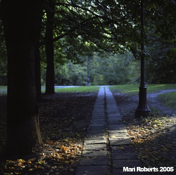 Mari Roberts - Poland path