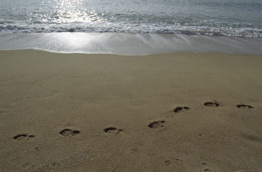 sandy footprints